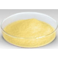 Factory Supply Kaempferol 98%/CAS No: 520-18-3 /Kaempferia Galanga L Extract